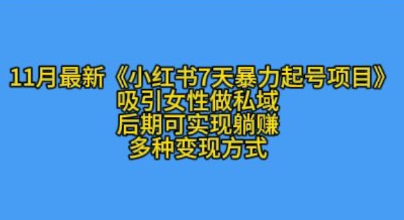 K总部落11月最新小红书7天暴力起号项目，吸引女性做私域【揭秘】-星宇创业网