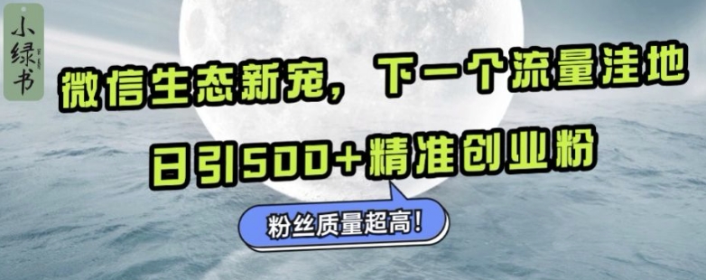 微信生态新宠小绿书：下一个流量洼地，日引500+精准创业粉，粉丝质量超高-星宇创业网