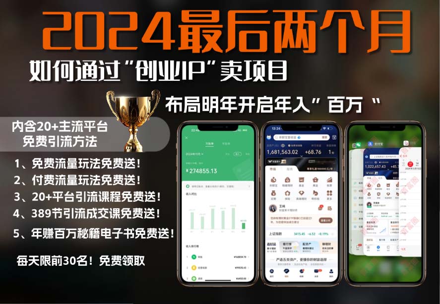 2024最后两个月如何通过”创业IP“卖项目年入”百万“,创业IP+最强引流…-星宇创业网