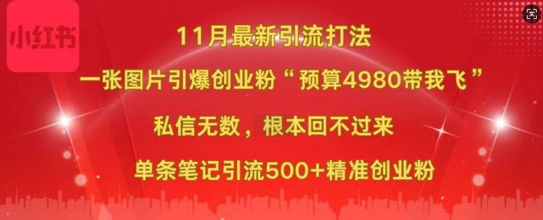 小红书11月最新图片打粉，一张图片引爆创业粉，“预算4980带我飞”，单条引流500+精准创业粉-星宇创业网